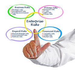 Diagram of Enterprise Risks