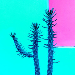 Neon cactus art. Minimal design. Cactus lover