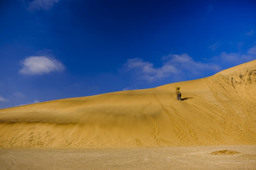 Namibia landscape Dune 7