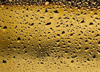 Condensation on a white wine bottle