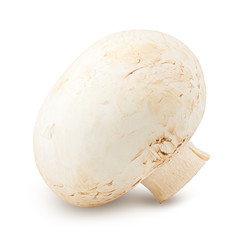 mushroom, champignon, isolated on white background, clipping path, full depth of field