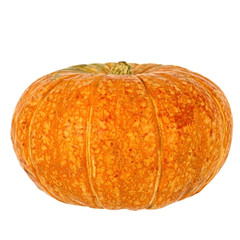 Orange pumpkin on white