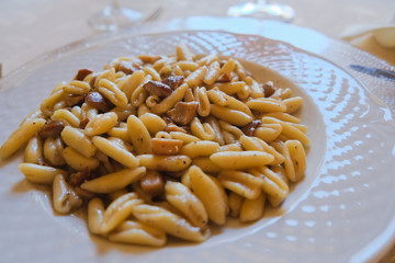 Short type italian pasta with mushrooms. Traditional culture Italy dish
