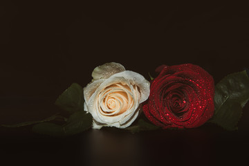 A close up macro shot of a two roses, ceremonial background with water drops