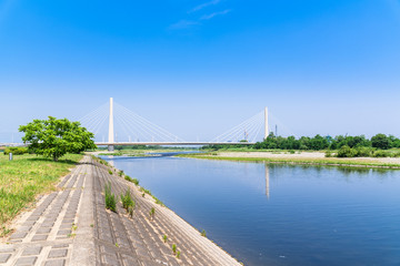 春の多摩川