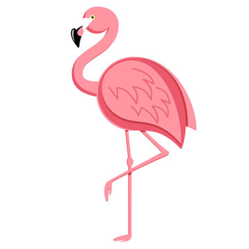Flamingo stehend - flamingo vector illustration