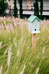 Vintage English country bird house in grass flowers field