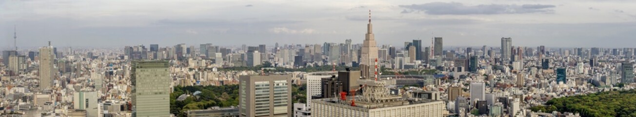 Beautiful aerial panoramic view of downtown, Tokyo, Japan