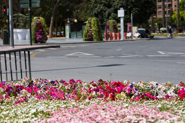 flowers in the street of big city days