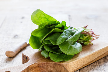Bunch of fresh homegrown organic spinach leaves