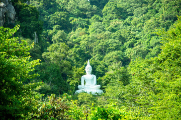 White Buddha Image on hill surrounded by trees