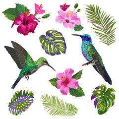 Watercolor Hummingbird, Hibiskus Flowers and Tropical Palm Leaves. Hand Drawn Exotic Colibri Birds and Floral Elements for Patterns, Decoration, Greeting Cards. Vector illustration © wooster