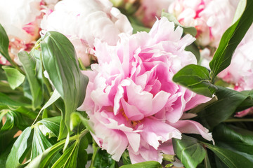 bouquet of fresh pink peony flowers as a wedding decoration 