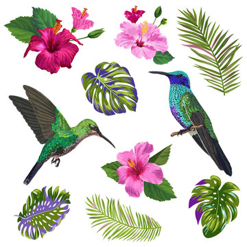Watercolor Hummingbird, Hibiskus Flowers and Tropical Palm Leaves. Hand Drawn Exotic Colibri Birds and Floral Elements for Patterns, Decoration, Greeting Cards. Vector illustration