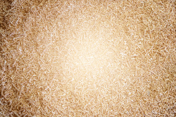 texture of veneer walnut