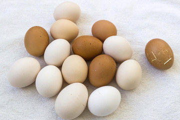 natural village chicken egg.


