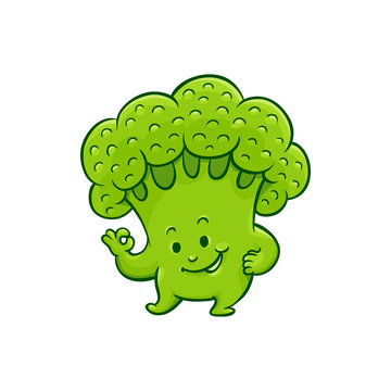 Cheerful broccoli character showing okey, ok gesture by fingers. Funny green vegetable cute healthy organic food full of vitamins. Cartoon smiling hand drawn plant with arms, legs. Vector illustration