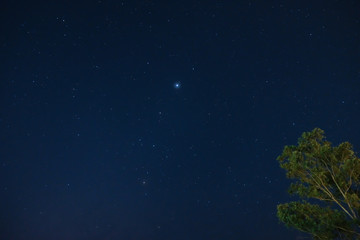 Fototapeta na wymiar Star against a star field background with blue tones.
