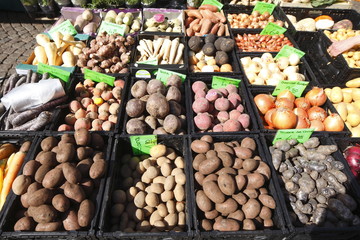 Schwarzwurzeln, Wurzelgemüse