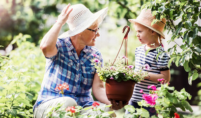 Gardening with kids. Senior woman and her grandchild working in the garden with a plants. Hobbies and leisure, lifestyle, family life - obrazy, fototapety, plakaty
