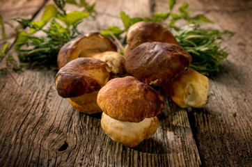 edible mushroom on wood background