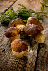 edible mushroom on wood background
