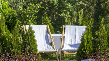 white chaise lounges from the cloth in the garden on a green lawn, fenced by thuja