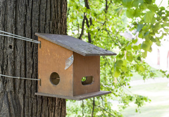 wooden birdhouse on the tree in spring day. nature.