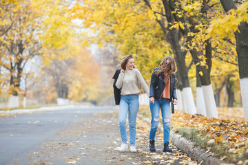 Fototapeta premium Young pretty girls having fun outdoors in autumn background. Cheerful friends in the fall time