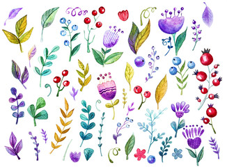 Watercolor set with floral clip art