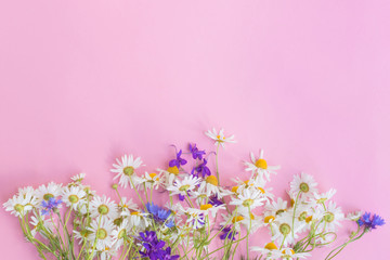Fototapeta na wymiar Bouquet of summer flowers on a pink background