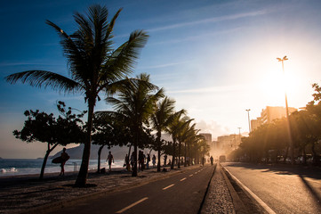 Cycling Track and Palm Trees in Ipanema Beach by Sunset, Rio de Janeiro, Brazil