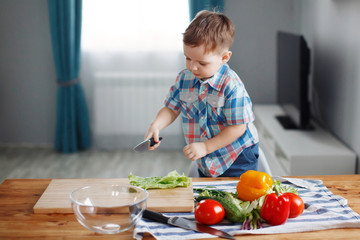 Cute little Blond boy was preparing to make a salad of green, yellow and red vegetables at the table