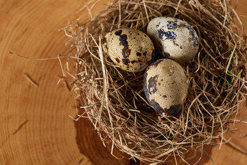 Conceptual still-life with quail eggs in hay nest on a log, close up, selective focus