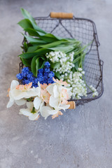 Bouquet of spring flowers in a mesh metal basket on the concrete floor. Pile of daffodils, lilies of the valley, Muscari