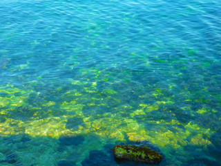 transparent stony sea coast with rocks and seaweed