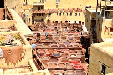 Tannery in Fez