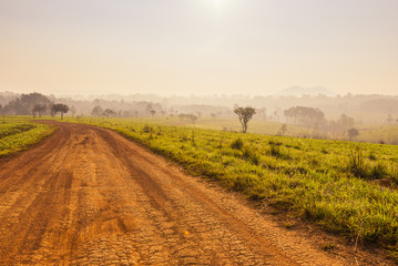 Fototapeta premium Savanna in National Park of Thailand named Thung Salaeng Luang
