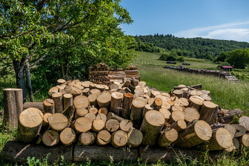 Brennholz aufgesetzt © focus finder