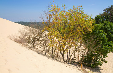 Dune du Pilat