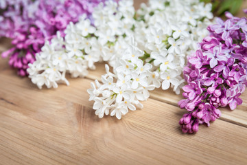 Floral pattern lilac branches and petals on wooden background. Frame.