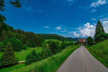A nice small path to walk on in the Black Forest / Schwarzwald, Germany, with a few clouds in the blue sky