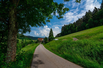 A nice small path to walk on in the Black Forest / Schwarzwald, Germany, with a few clouds in the blue sky