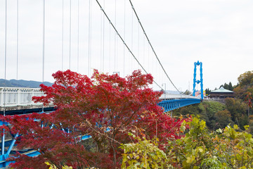 Ryujin Big Suspension Bridge