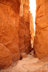 Bryce Canyon 116
