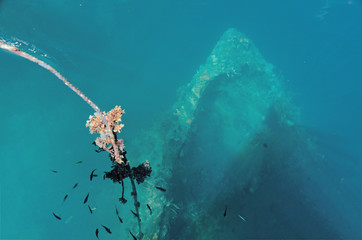 Wrecked Japanese military gunboat 