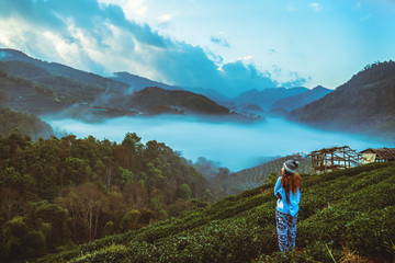 woman asian travel nature. Travel relax. Natural park on the Moutain. Thailand