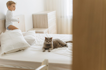adorable little child and grey british shorthair on bed at home