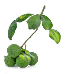 Fresh Kaffir Lime on white background