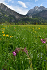 Fototapeta premium Mountain landscape. Germany.